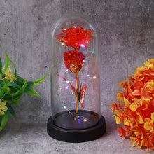 Lumi Petal Decorative Rose